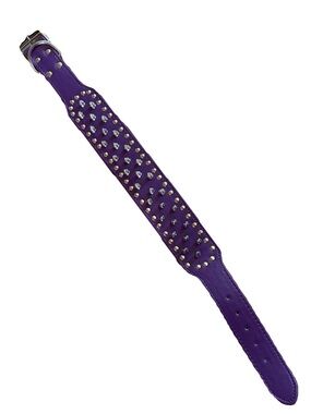 Purple Faux Leather Spiked Studded Dog Collar